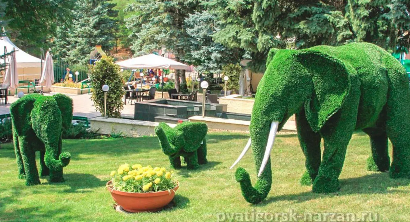 Санаторий Пятигорский Нарзан